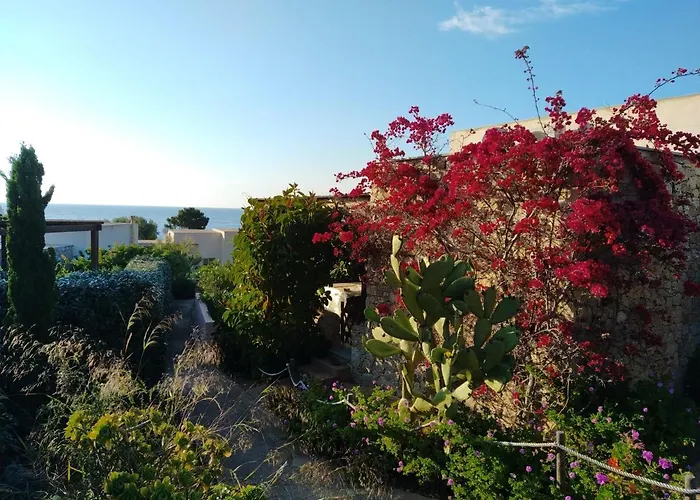 Cutalello Cote Sant'ambroggio Lumio (Corsica)
